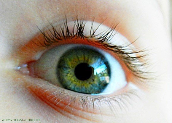 The Most Effective Defense Strategies (Image Credits: Flickr)