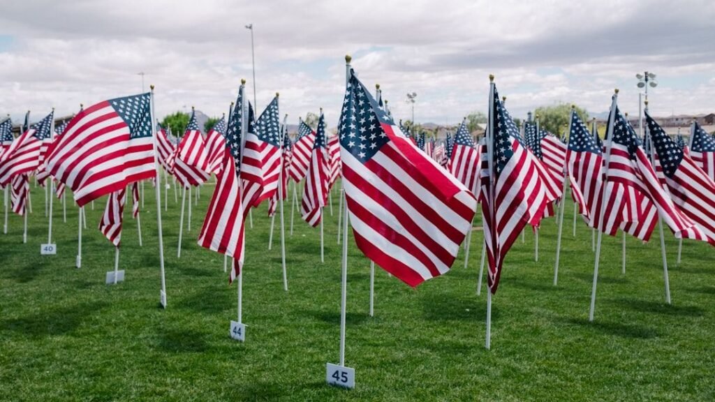 SCAM Act Ignites Immigration Firestorm: Emmer Targets Fraudsters for Denaturalization Amid Shutdown