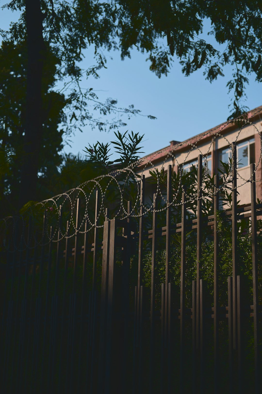 The Hollywood Hills Celebrity Burglary Rings: Fame Creates Patterns (Image Credits: Unsplash)