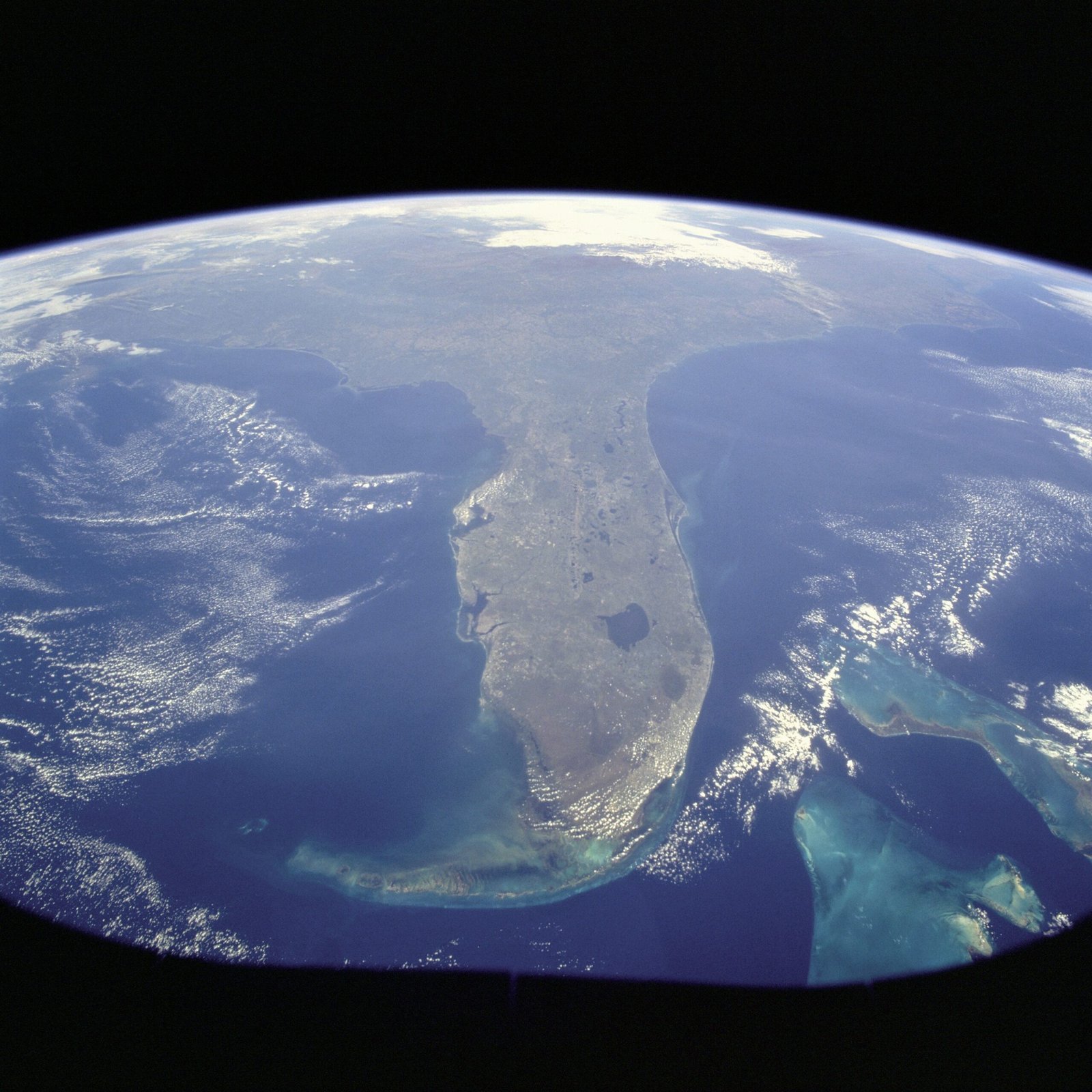 Why Florida Became an Innovation Powerhouse (Image Credits: Wikimedia)