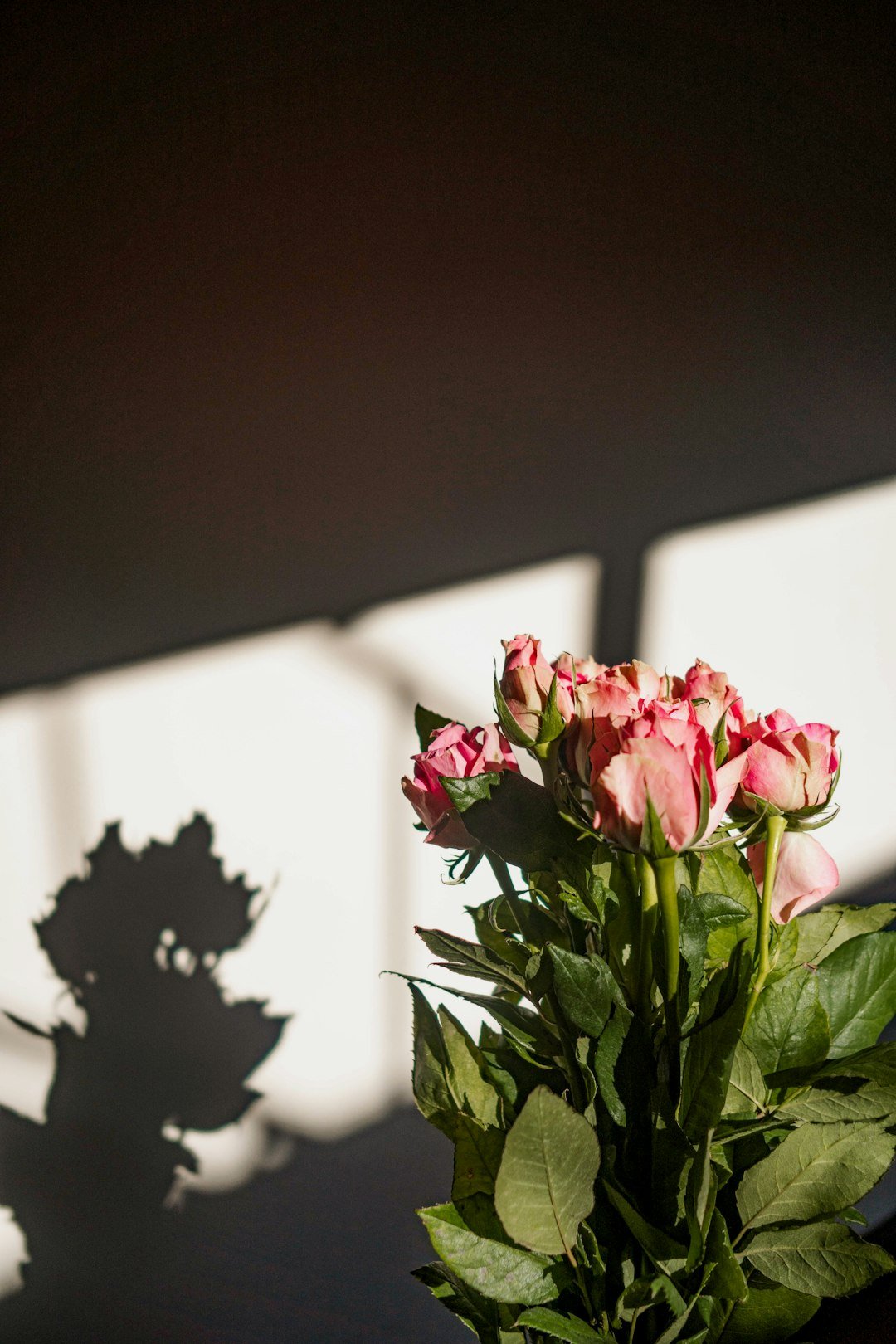 Valentine's Day 2026: Oscar Wilde's quote - 'Keep love in your heart. A life without it is like a sunless garden'