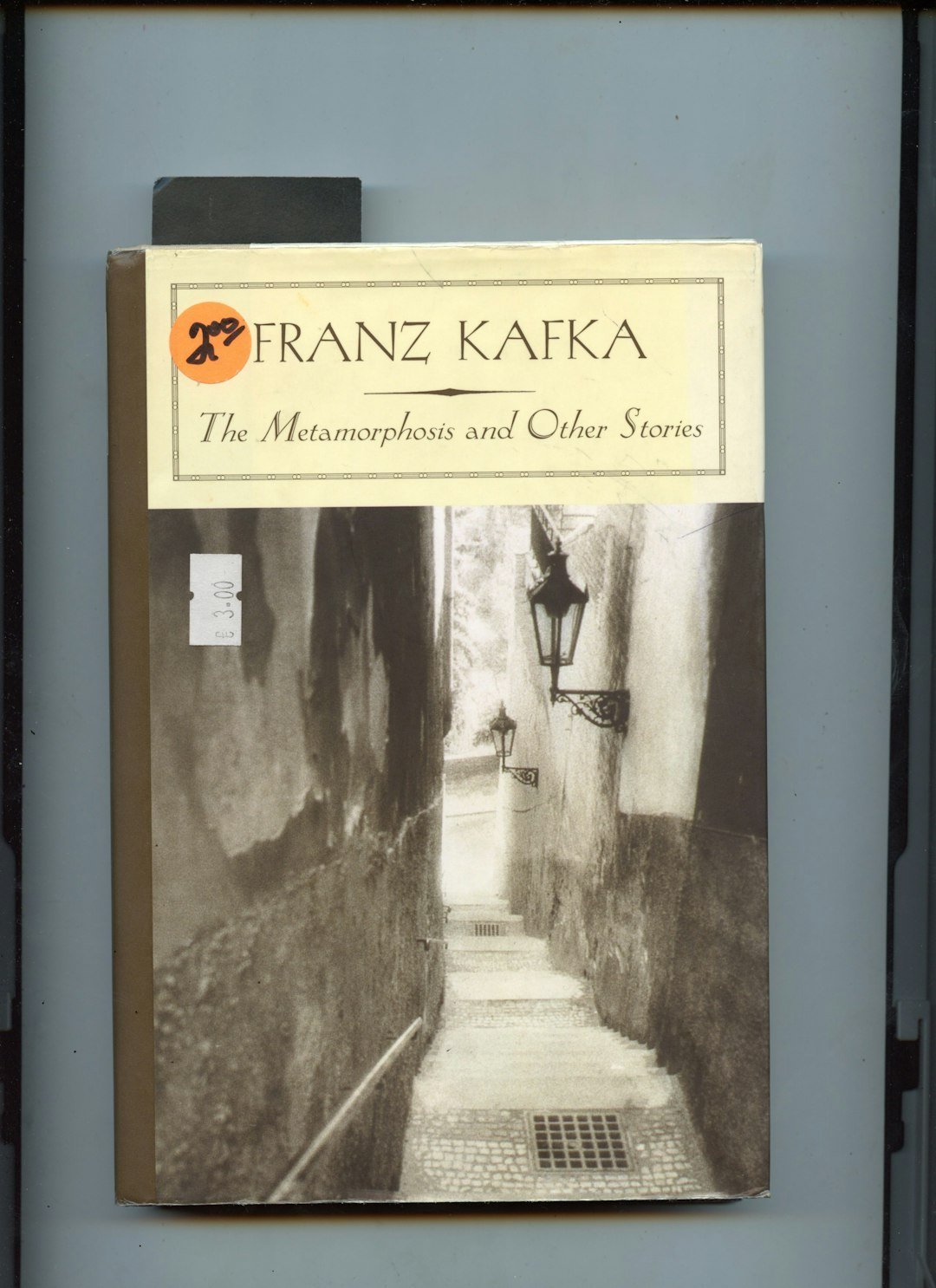 9. Franz Kafka and The Metamorphosis (Image Credits: Unsplash)