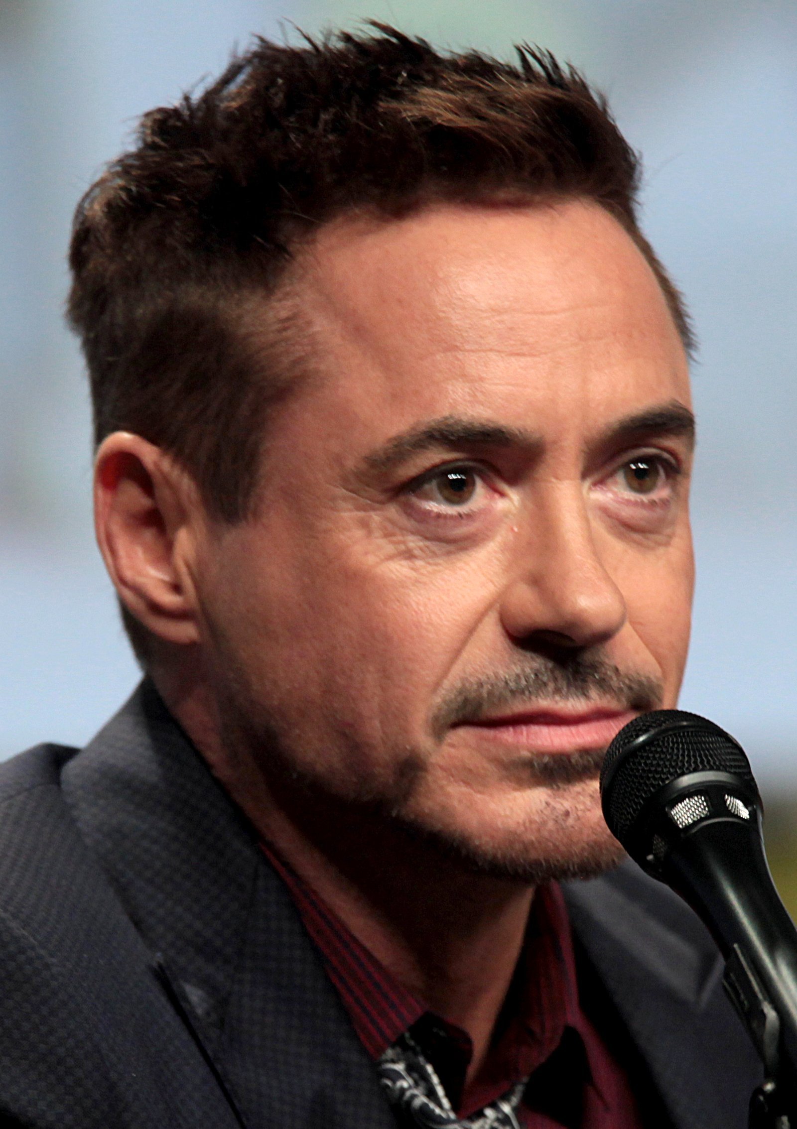 4. Robert Downey Jr. - From Uninsurable to Unstoppable (Image Credits: Wikimedia)