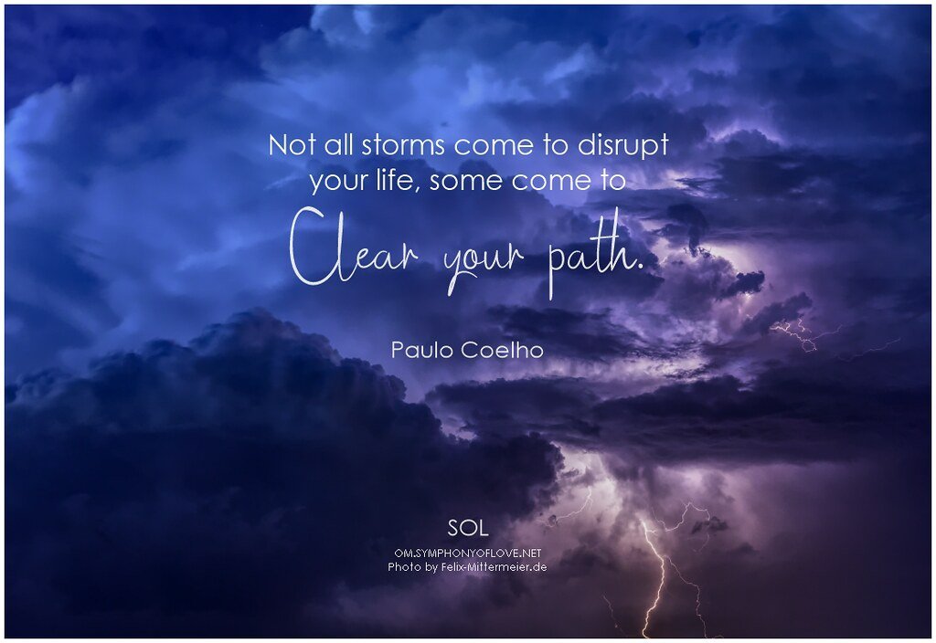 6. The Alchemist by Paulo Coelho (1988) (Image Credits: Flickr)