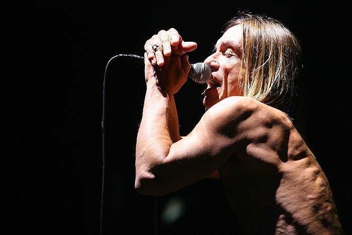 13. Iggy Pop - Forever the Godfather of Punk (Image Credits: Wikimedia)