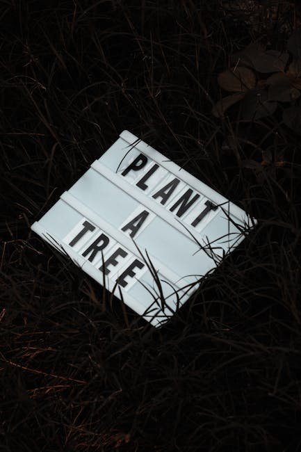 Offset What You Simply Cannot Avoid (Image Credits: Pexels)