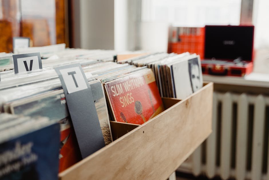 4. Digging Through Record Store Bins (Image Credits: Pexels)