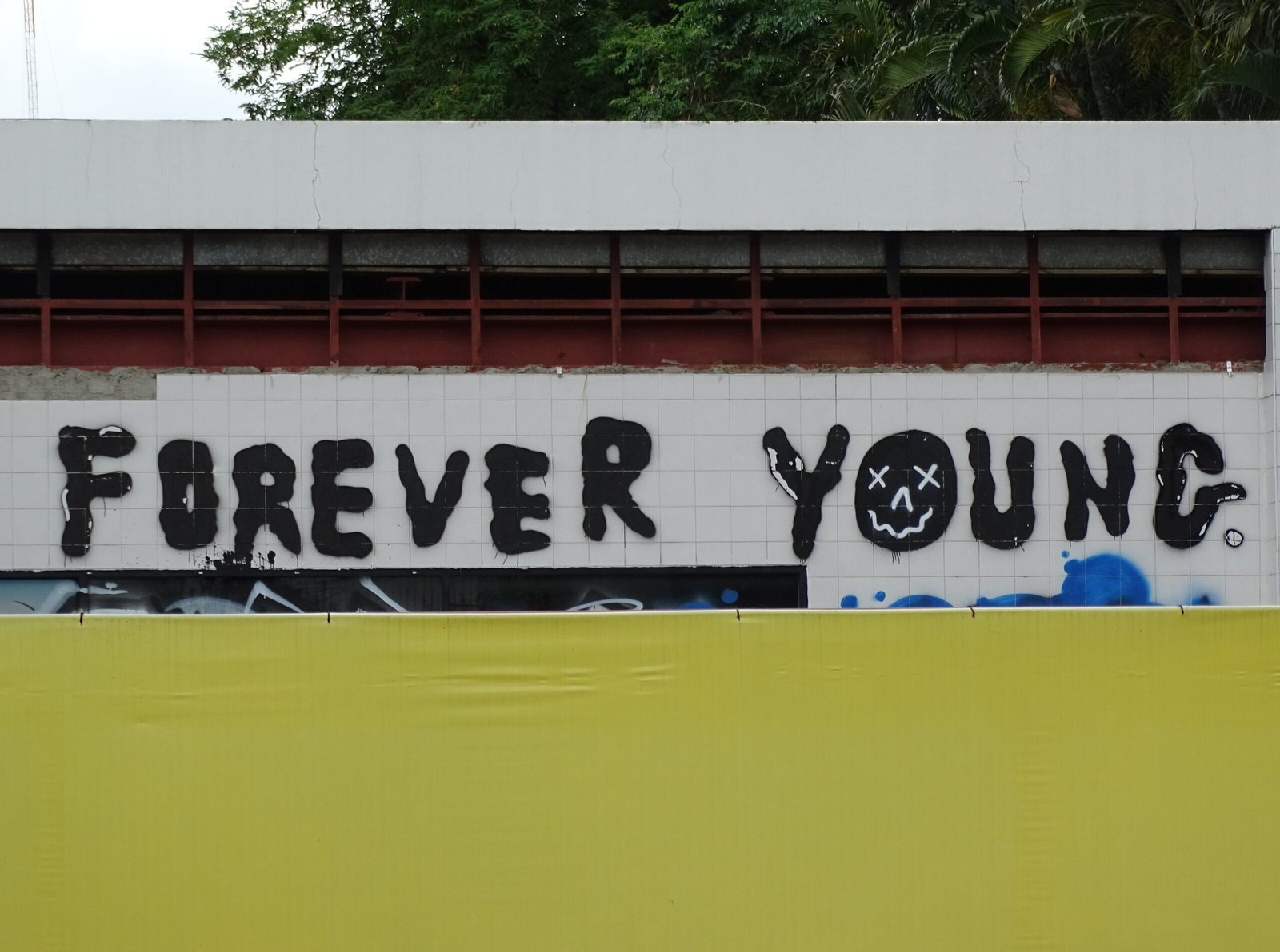 5. "Forever Young" - Alphaville (1984) (Forever Young - Sign in Chiang Mai - Thailand, CC BY-SA 2.0)