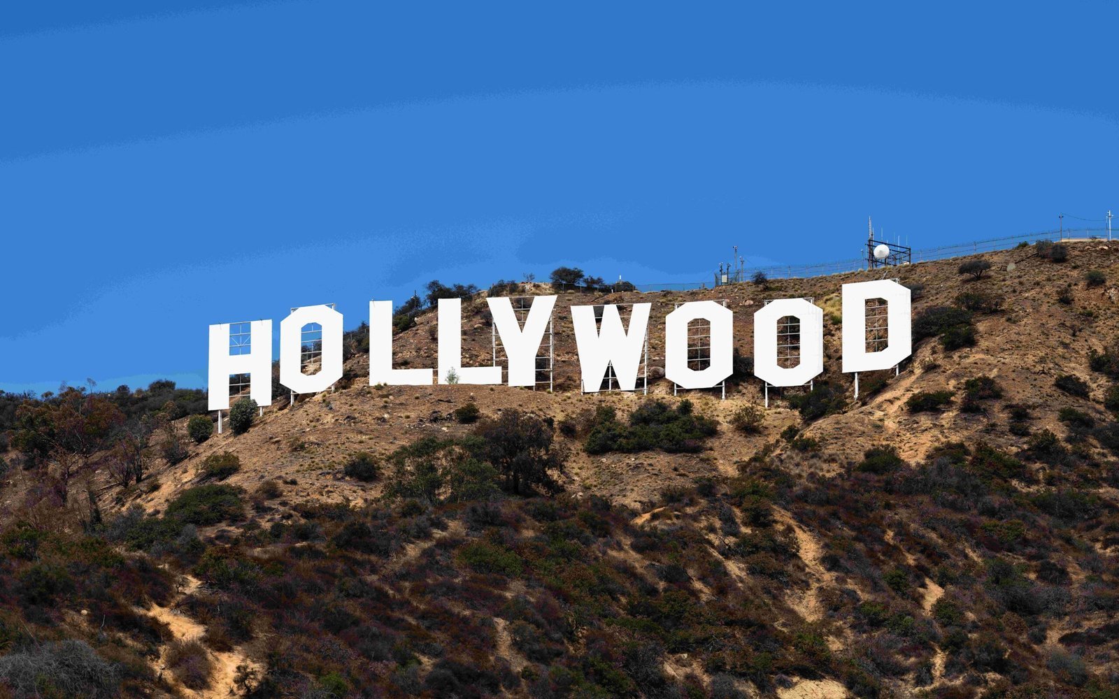 Final Thought (By Thomas Wolf, www.foto-tw.de, CC BY-SA 3.0)