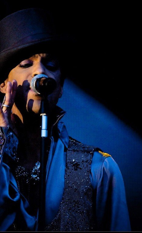 3. Prince - Camille (Image Credits: Flickr)
