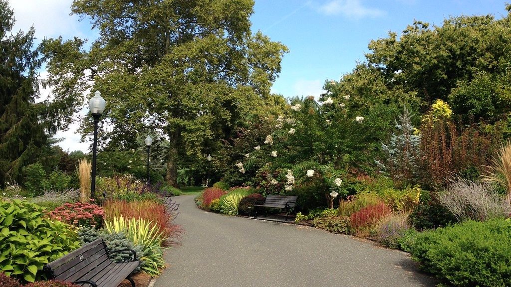 8 Low-Maintenance Perennials for a Beautiful Garden That Lasts for Decades