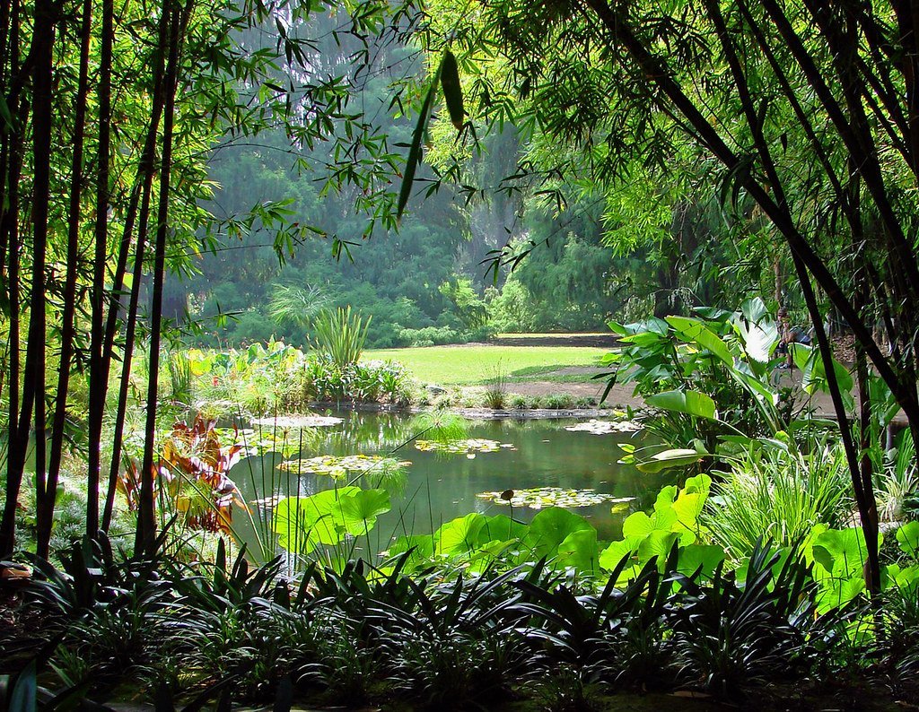 Bring Your Shade Garden to Life (inkknife_2000 (14 million views), Flickr, CC BY-SA 2.0)