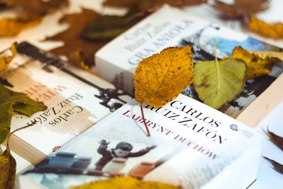 The Shadow of the Wind by Carlos Ruiz Zafón - A Love Letter to Books Themselves (Image Credits: Pexels)