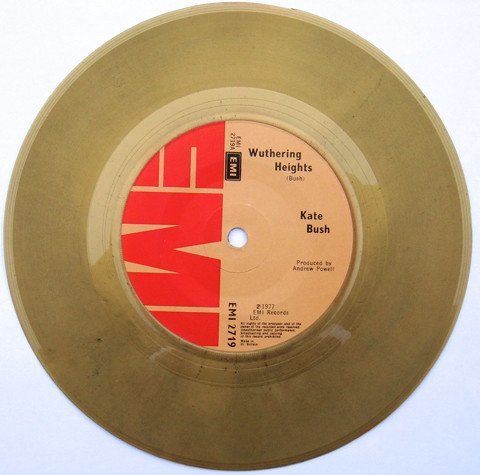 "Wuthering Heights" by Kate Bush - Emily Brontë's Timeless Gothic Romance (Abaraphobia, Flickr, CC BY-SA 2.0)