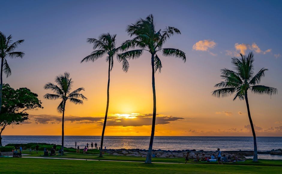 9. Hawaiian Islands Travel Brochures (1952) (Image Credits: Pexels)