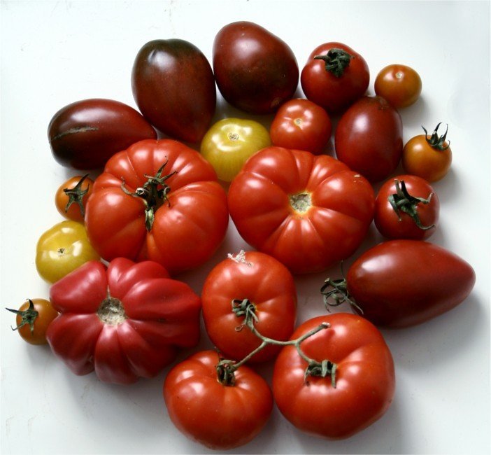 Mortgage Lifter Tomato: The One With the Legendary Story (issyeyre, Flickr, CC BY 2.0)