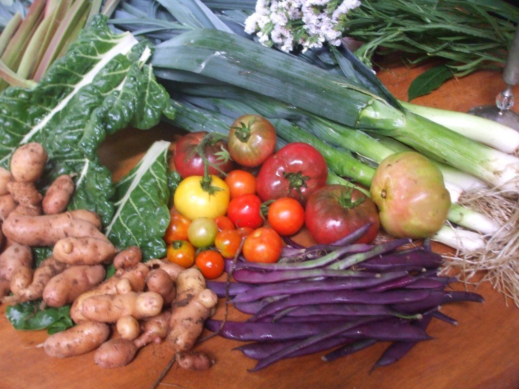 Why Every Garden Deserves an Heirloom Corner (vivevans, Flickr, CC BY-SA 2.0)