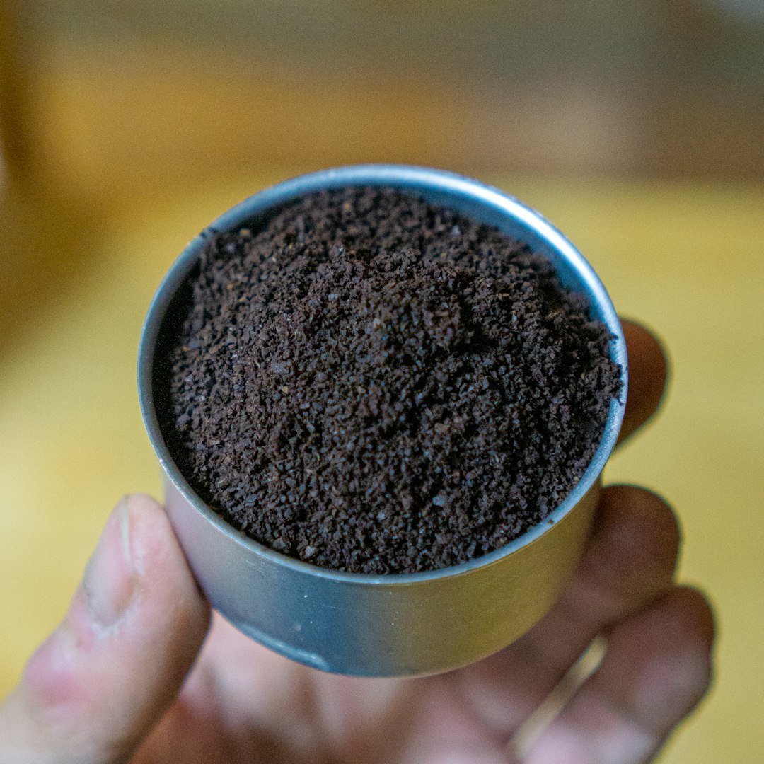 Myth #4: Coffee Grounds Are a Powerful Soil Acidifier (Image Credits: Unsplash)