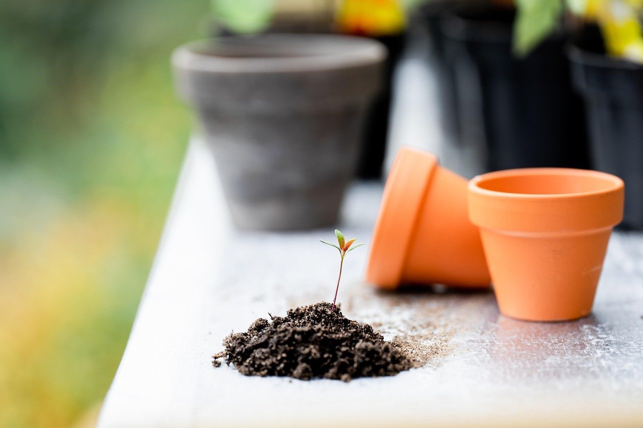 Myth #5: Clay Soil Is Useless and Should Be Fixed With Sand (Image Credits: Pixabay)