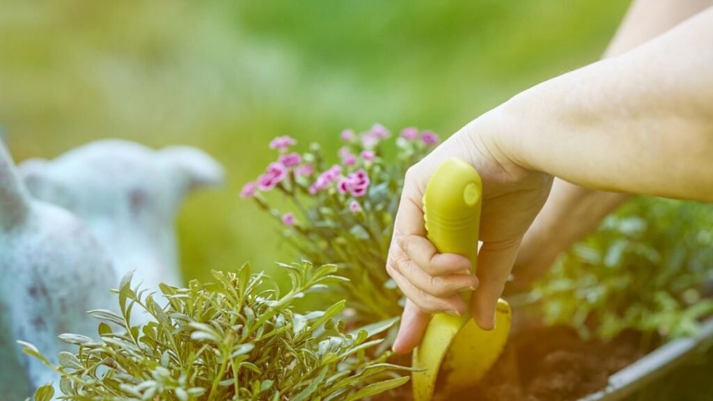 7 Gardening Myths You Believe That Are Ruining Your Backyard Oasis