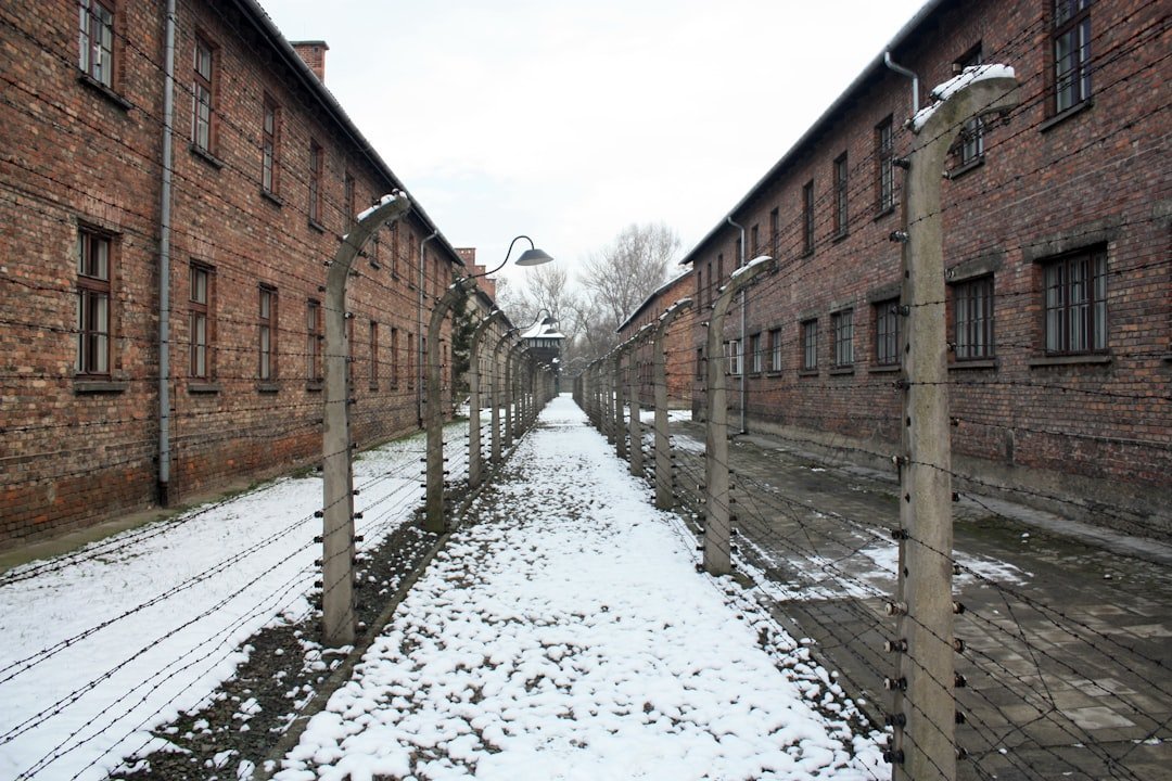 7. Lilac Girls by Martha Hall Kelly - Caroline Ferriday (Image Credits: Unsplash)