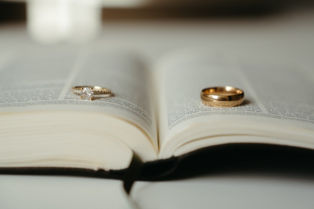 8. The Marriage of Opposites by Alice Hoffman - Rachel Pissarro (Image Credits: Unsplash)