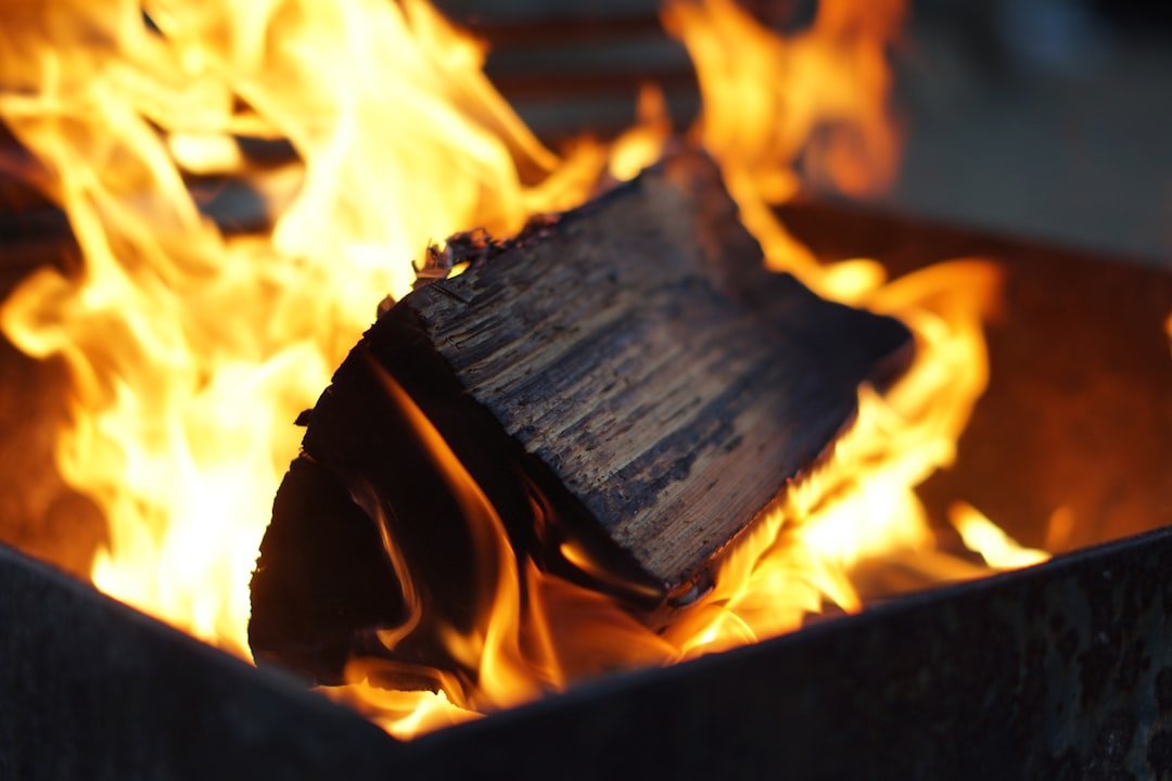 1. Ulysses by James Joyce (1922) (Image Credits: Unsplash)