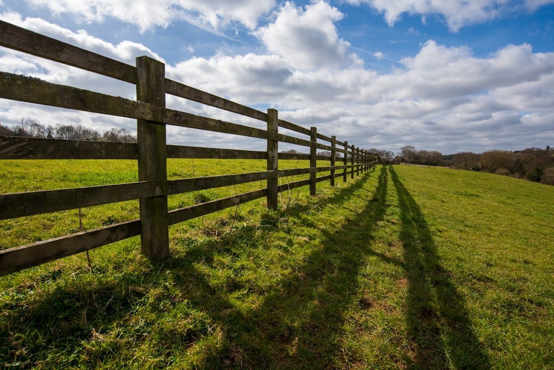 5. Post and Rail Fence: Simple Lines, Understated Elegance (Image Credits: Unsplash)