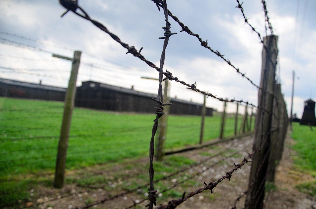 8. Schindler's List Companion: The Boy in the Striped Pyjamas (2008) (Image Credits: Pixabay)