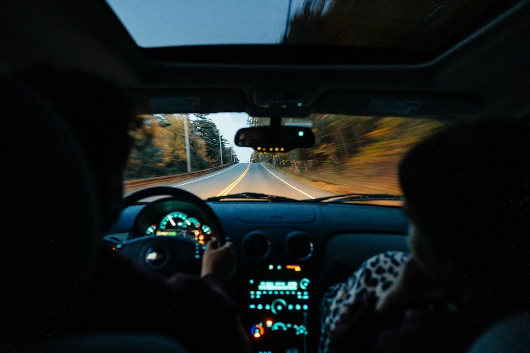 Why Road Trip Films Endure (Image Credits: Unsplash)