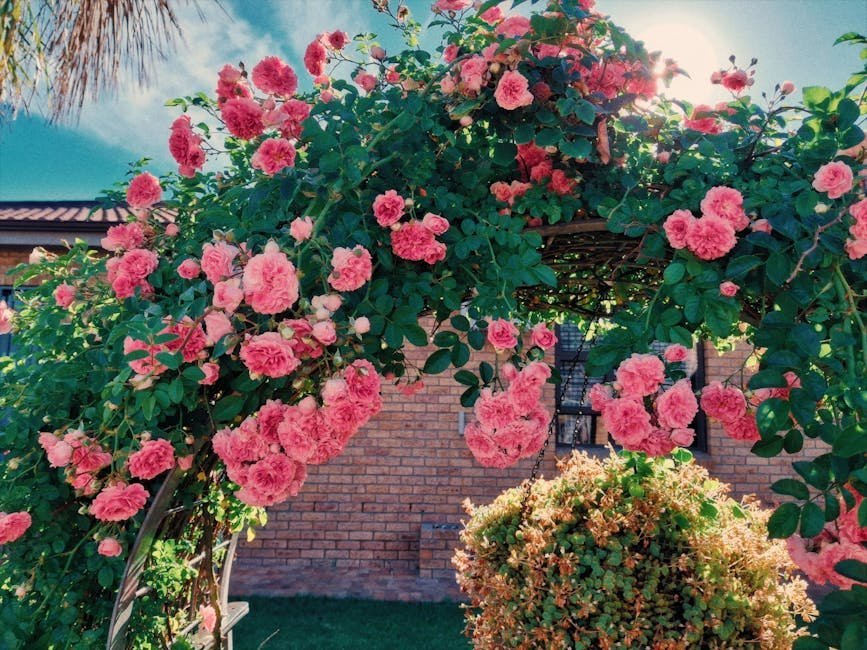 8. The Climbing Rose: Vertical Drama at Its Finest (Image Credits: Pexels)