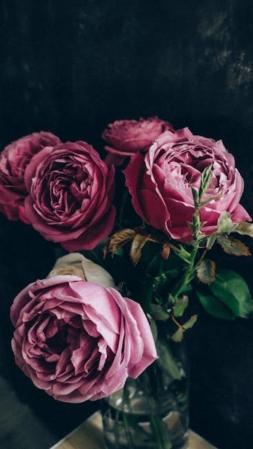 Bringing It All Together: Why Classic Roses Still Belong in Every Garden (Image Credits: Pexels)