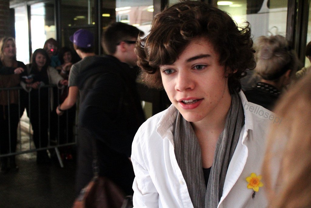 Harry Styles: The Unexpected Leading Man (hellosepi, Flickr, CC BY 2.0)
