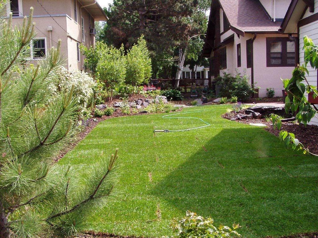 3. The Turf-Lifting Iron: A Tool That Cuts Through Landscaping Headaches (Field Outdoor Spaces, Flickr, CC BY 2.0)