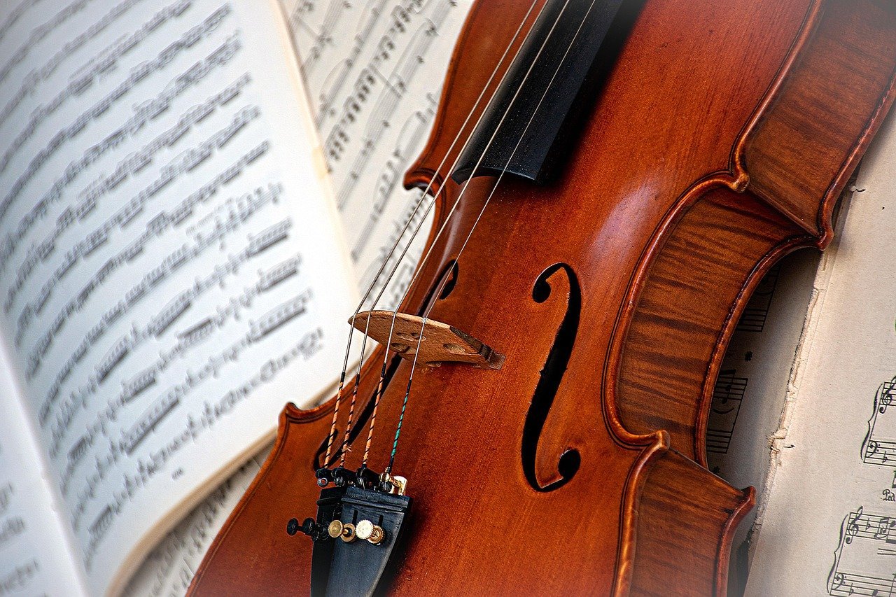 5. The Violin: The Voice That Moved Orchestras (Image Credits: Pixabay)