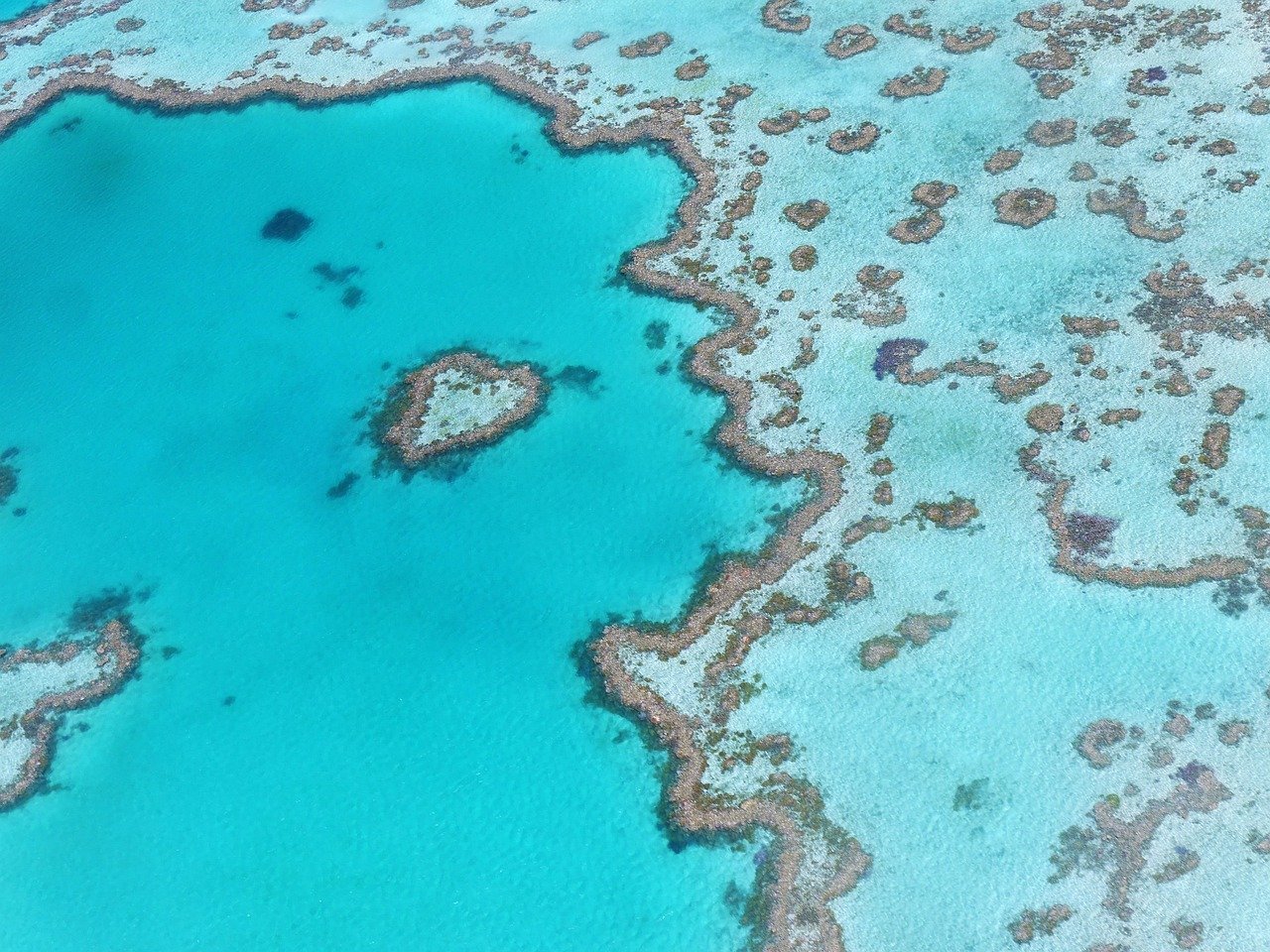 The Great Barrier Reef, Australia: An Entire World Beneath the Waves (Image Credits: Pixabay)
