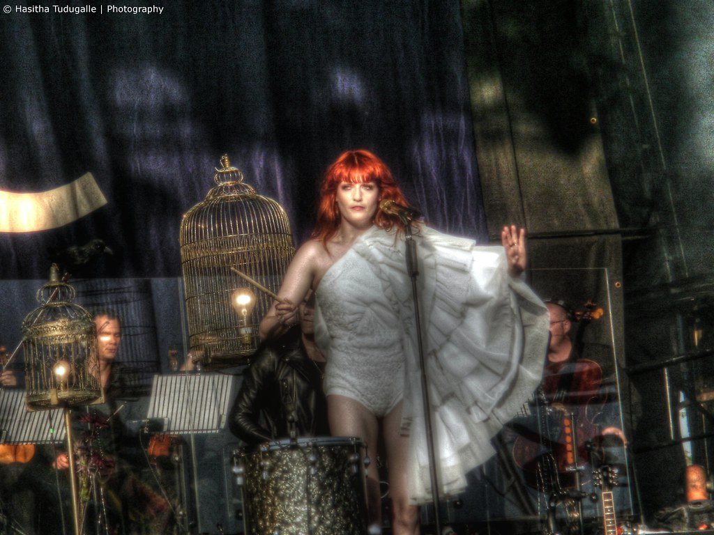 Dog Days Are Over by Florence + The Machine (H.A.S PhotoDesigns~Heart+Soul~, Flickr, CC BY 2.0)