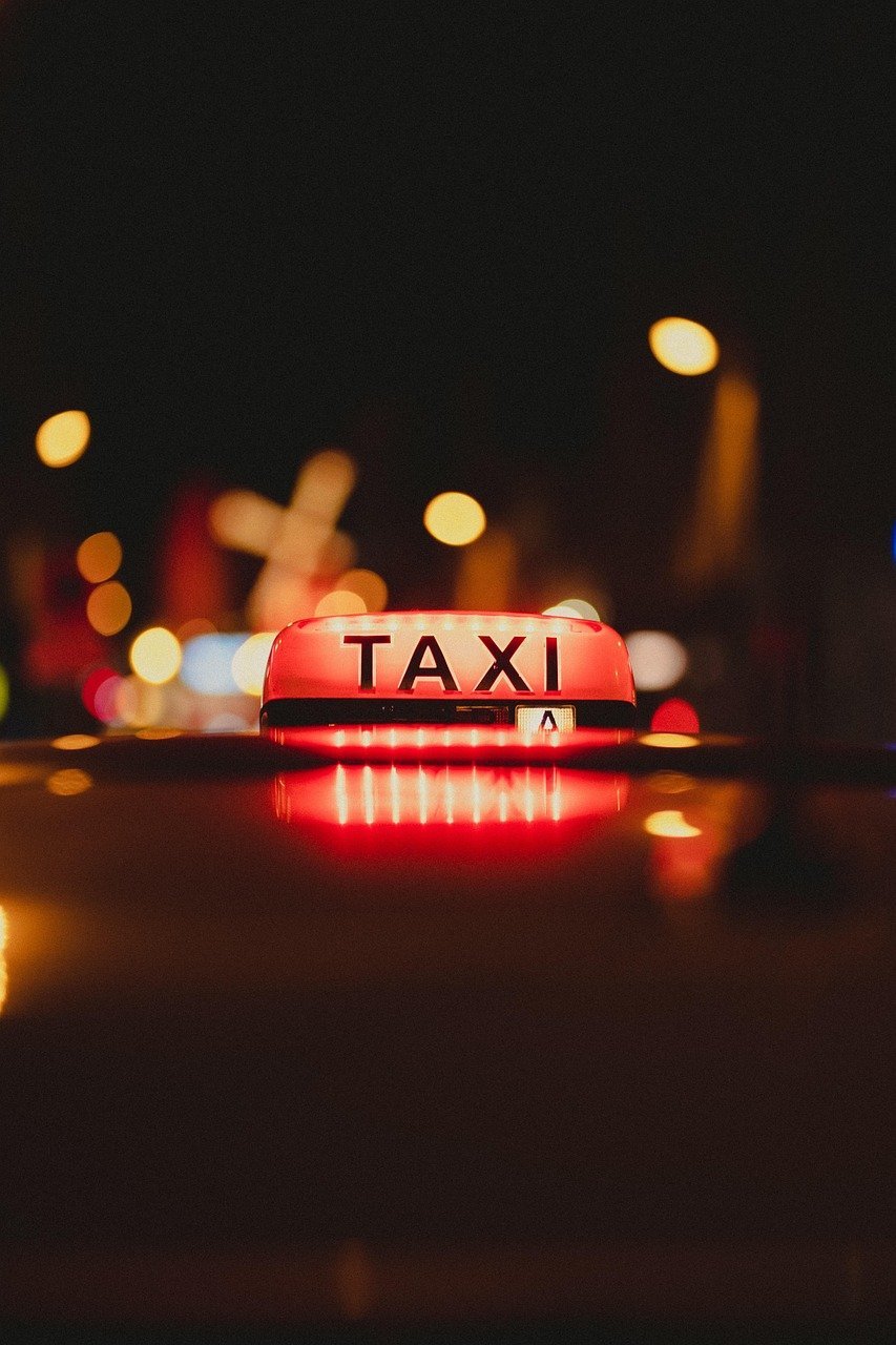 9. The Bermuda Brothers and the Unstoppable Taxi (Image Credits: Pixabay)