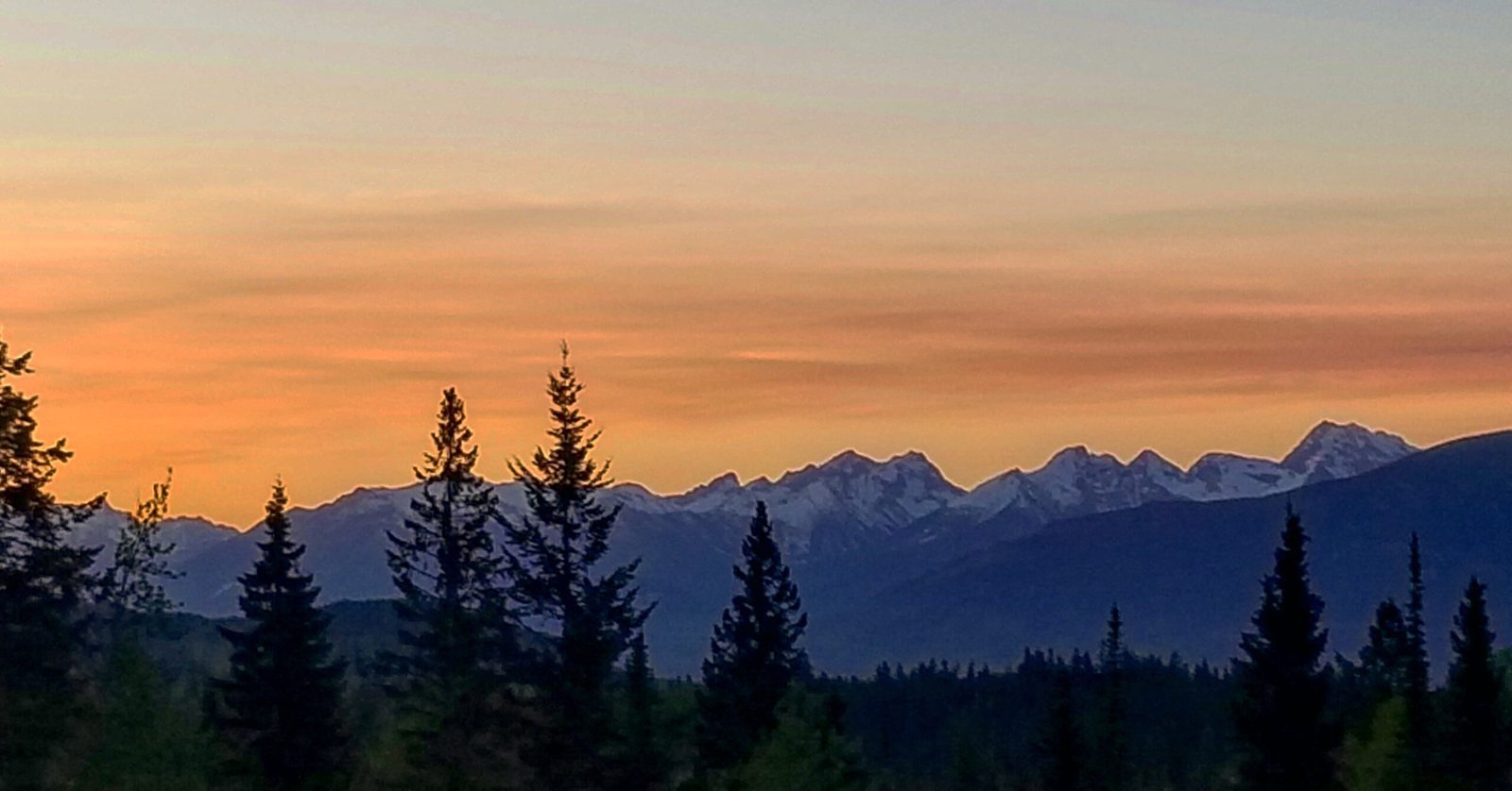 Kicking Horse (By Terry janzen, CC BY-SA 4.0)