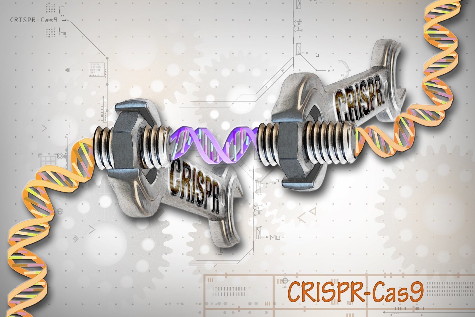 10. CRISPR Gene Editing: Rewriting the Code of Life (CRISPR-Cas9 Editing of the Genome, CC BY 2.0)