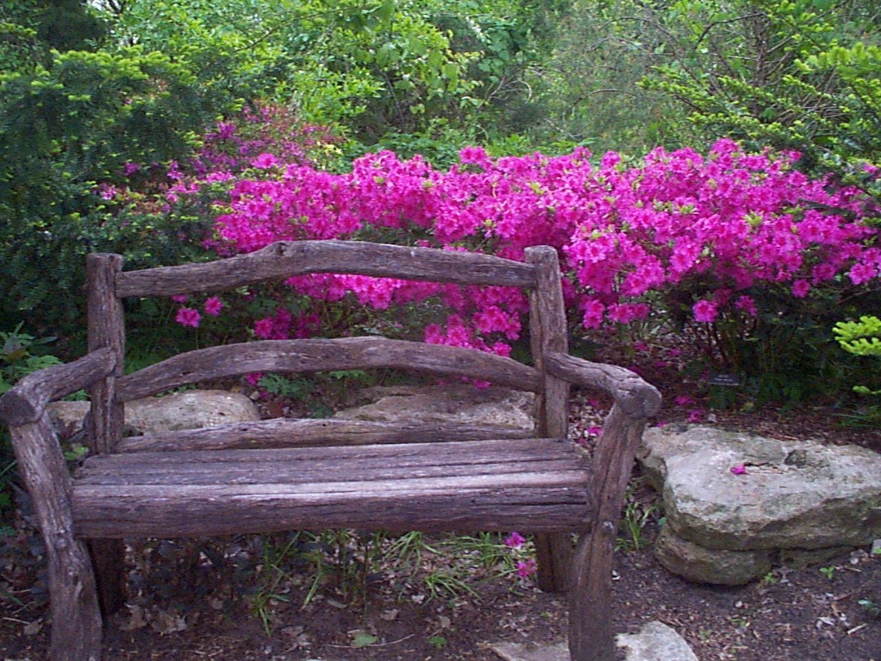 6. Botanica, The Wichita Gardens, Kansas (originally posted to Flickr as Botanica - 216, CC BY 2.0)