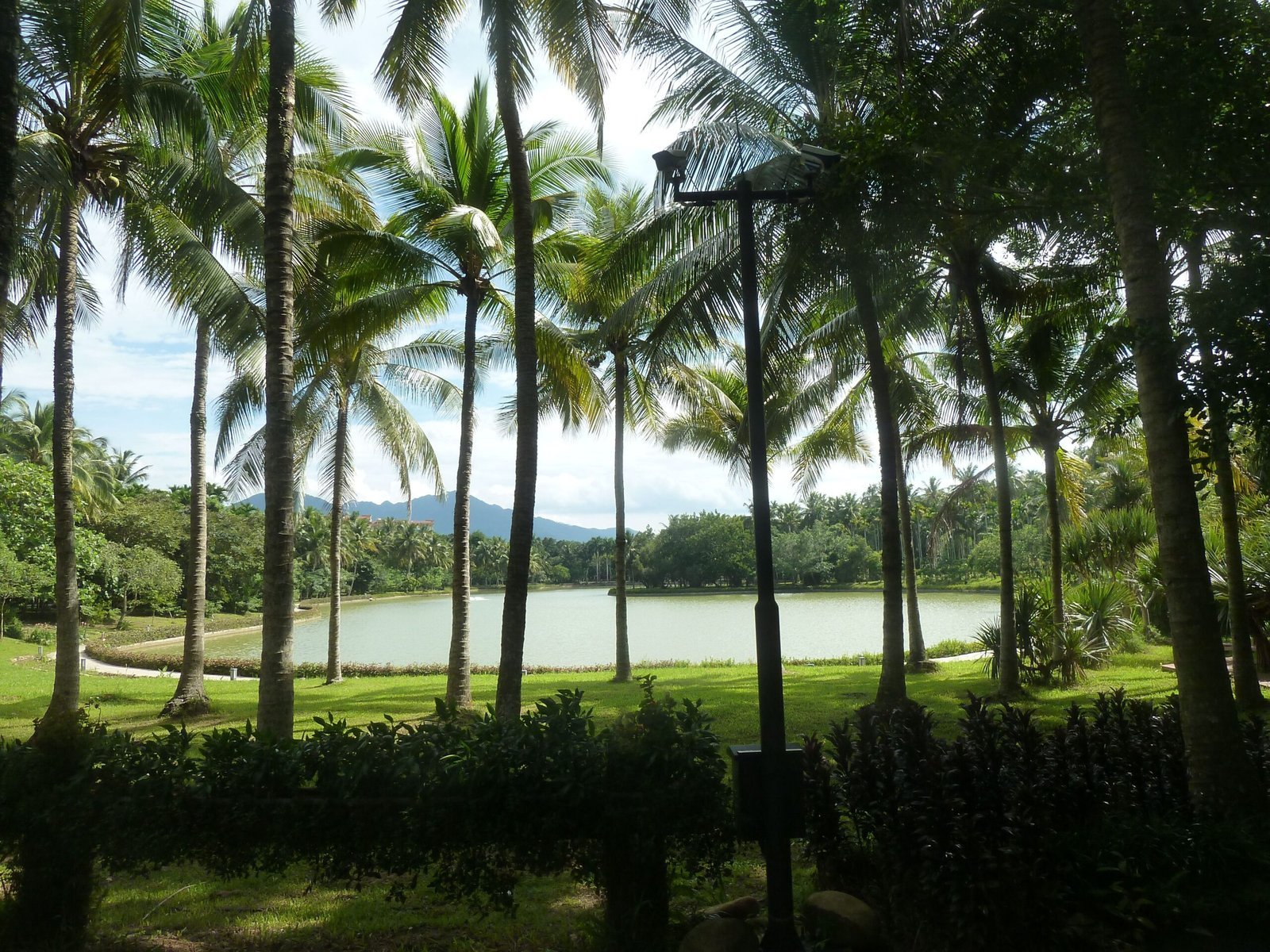 10. Fairchild Tropical Botanic Garden, Florida (By STW932, CC BY-SA 4.0)