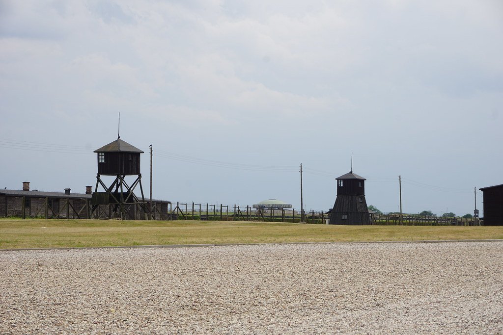 3. Life Is Beautiful (1997) (Andrew Milligan sumo, Flickr, CC BY 2.0)