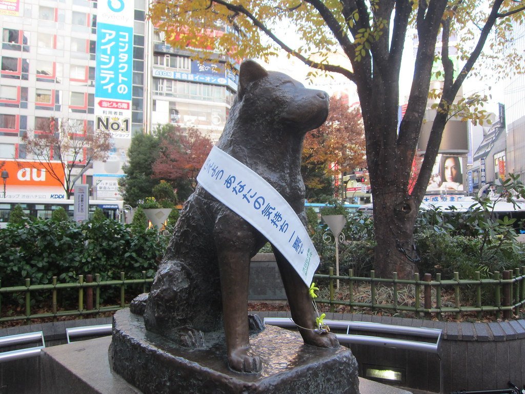 8. Hachi: A Dog's Tale (2009) (Terrazzo, Flickr, CC BY 2.0)