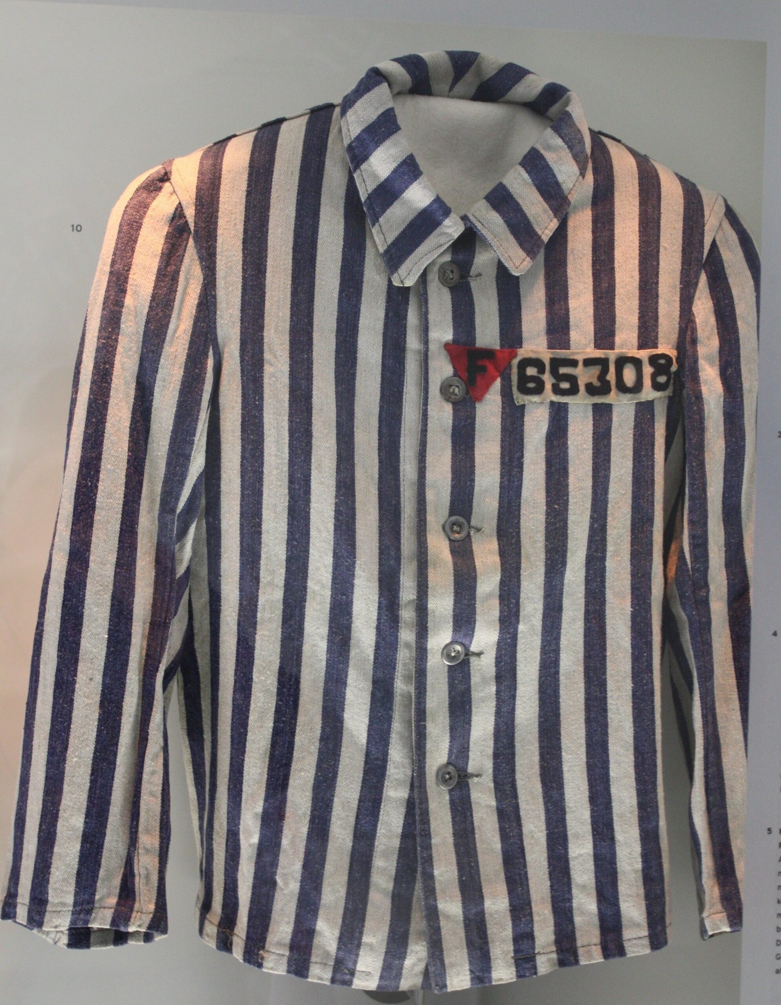 9. The Boy in the Striped Pajamas (2008) (By Sarah Ewart, CC BY-SA 3.0)