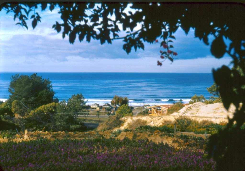 10. The Beach House (2018) (peptic_ulcer, Flickr, CC BY-SA 2.0)