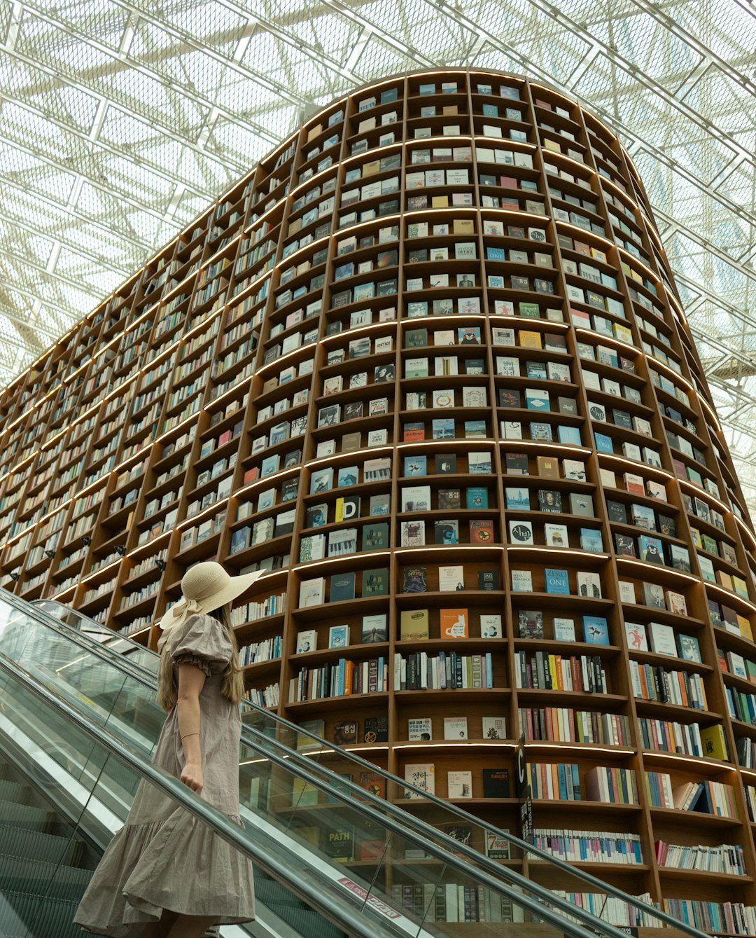 The Deeper Meaning of Beautiful Libraries (Image Credits: Unsplash)