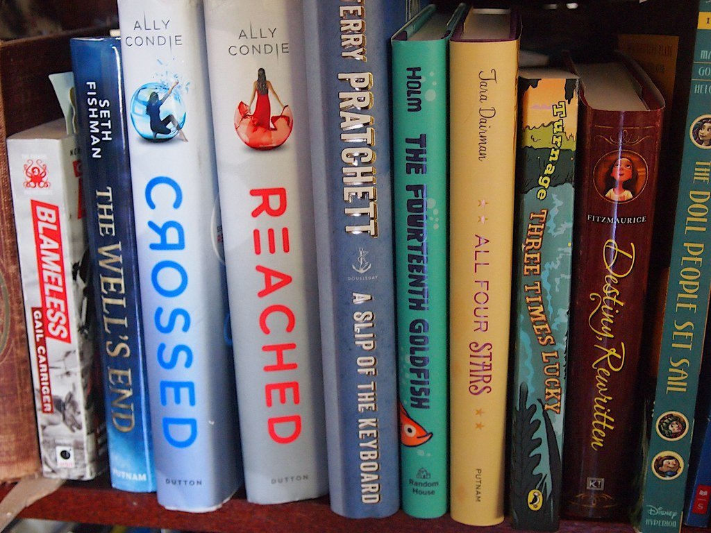 The Conclusion: Literature as a Lifelong Act of Becoming (Pussreboots, Flickr, CC BY 2.0)