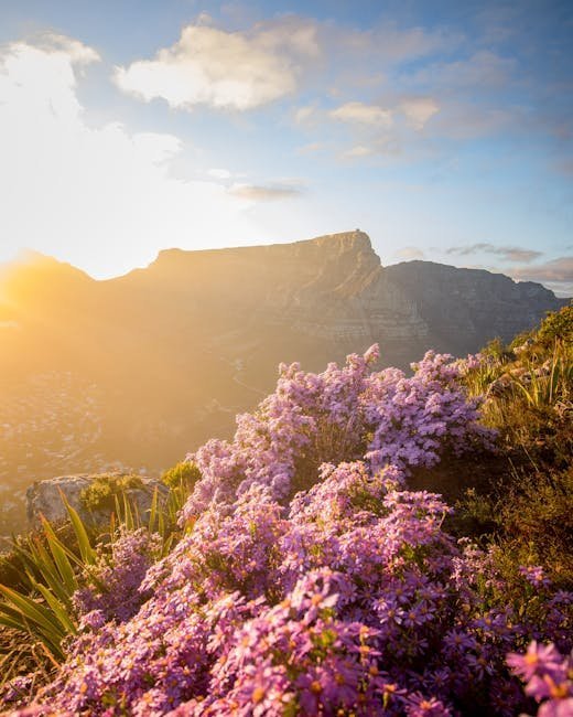 Cape Town, South Africa (Image Credits: Pexels)