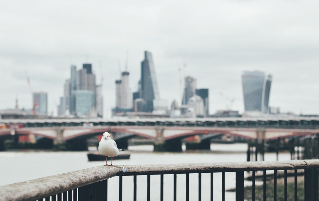 Plan Your Coastal Adventure (ijclark, Flickr, CC BY 2.0)